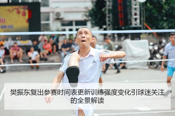 樊振东复出参赛时间表更新训练强度变化引球迷关注的全景解读